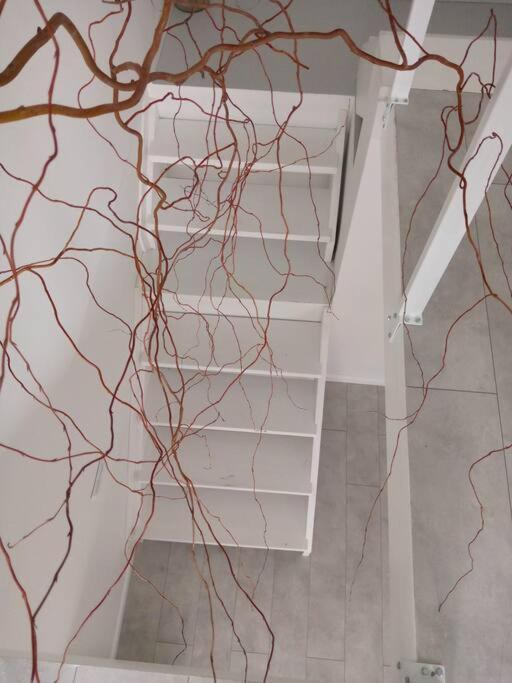 White Door Apartments Heart Of Odessa 4 Exterior foto
